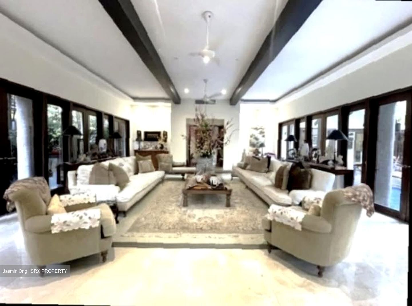 Raffles Park (D11), Detached #536531311